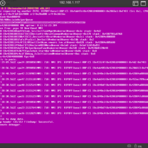 ESXi 7.0.3 purple screen